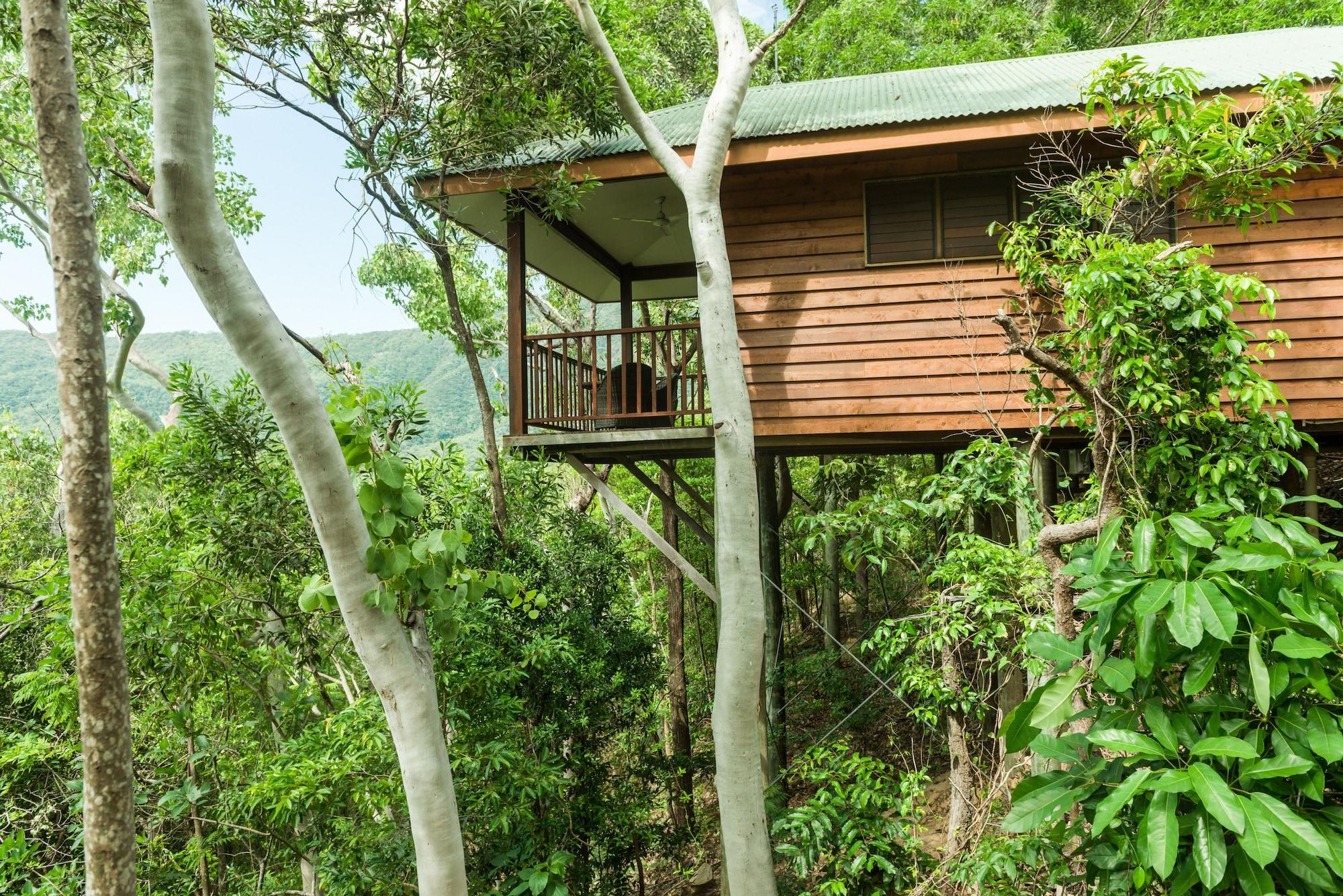 Thala Beach Nature Reserve Port Douglas Ngoại thất bức ảnh