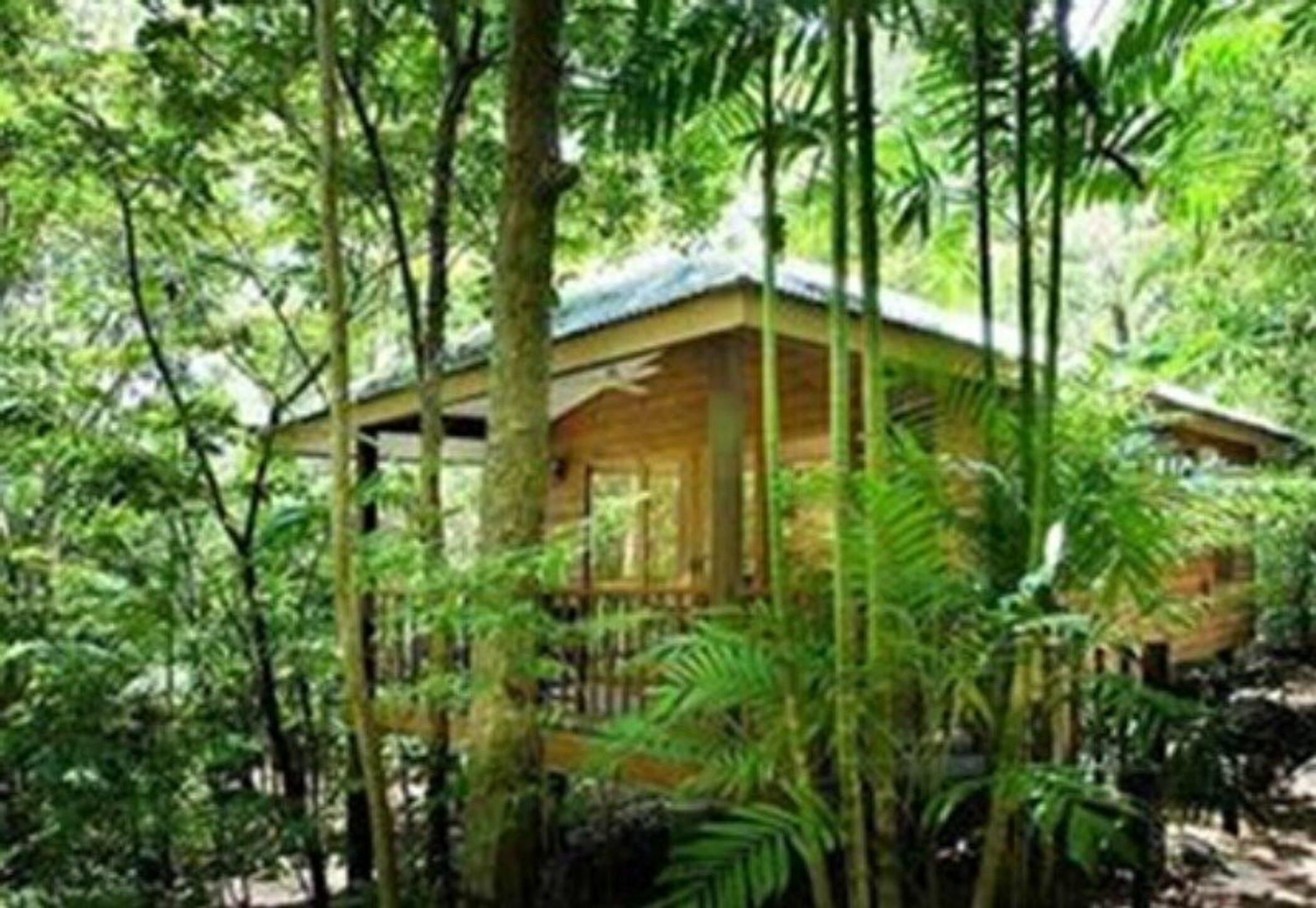 Thala Beach Nature Reserve Port Douglas Ngoại thất bức ảnh
