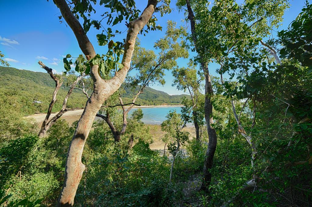 Thala Beach Nature Reserve Port Douglas Ngoại thất bức ảnh