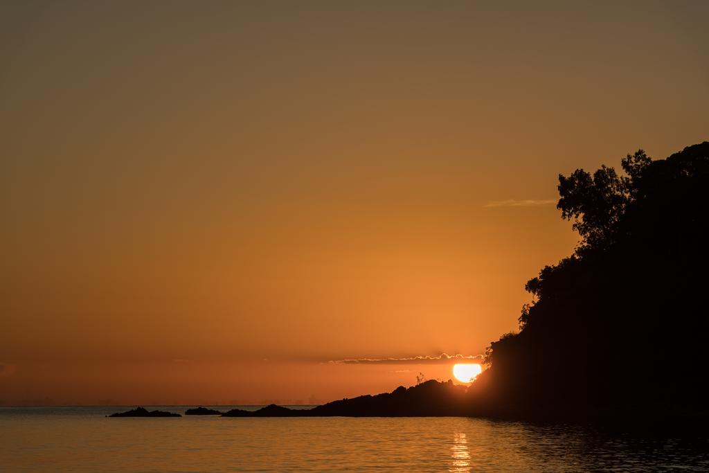 Thala Beach Nature Reserve Port Douglas Ngoại thất bức ảnh