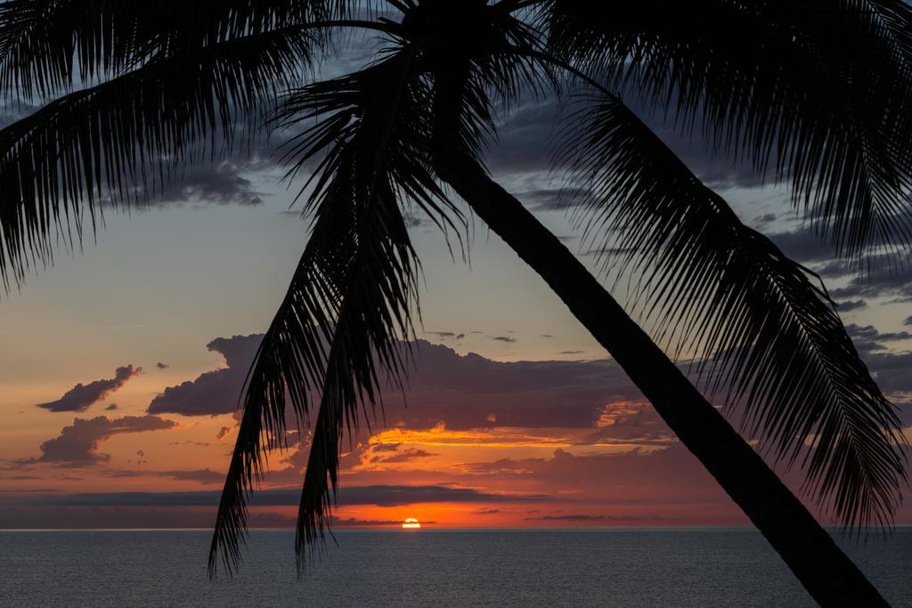 Thala Beach Nature Reserve Port Douglas Ngoại thất bức ảnh