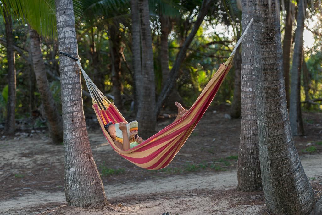 Thala Beach Nature Reserve Port Douglas Ngoại thất bức ảnh