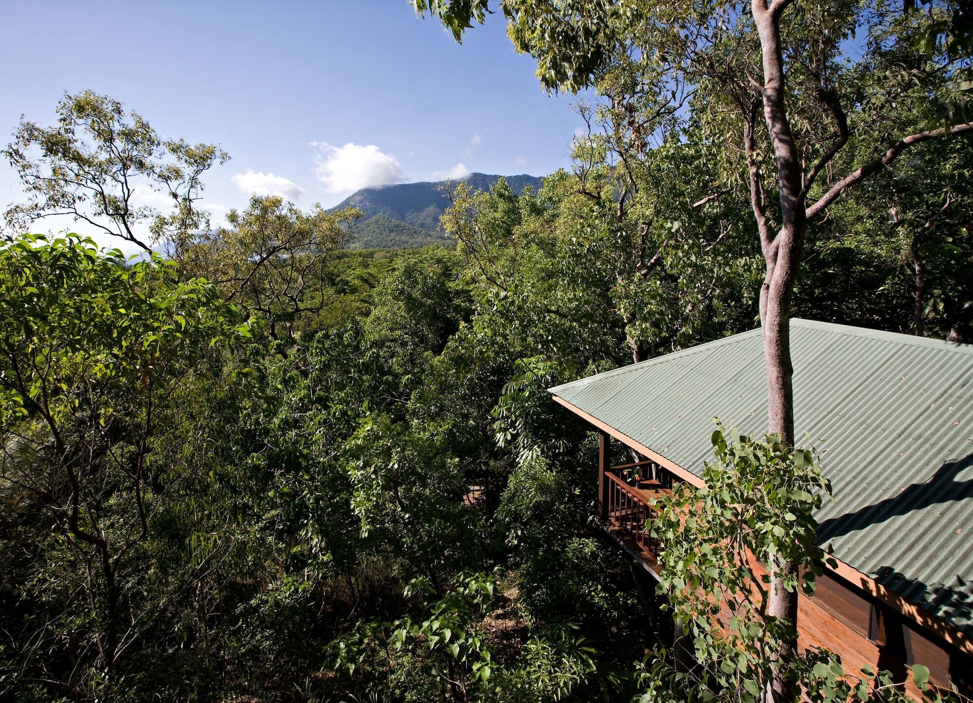 Thala Beach Nature Reserve Port Douglas Ngoại thất bức ảnh